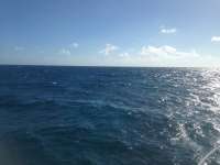 Great day of scuba diving in Key Largo with Rainbow Reef on spanish anchor tropical adventure 2013 12 07 r96 1