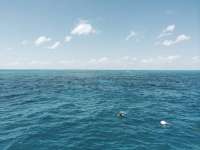 Great day of scuba diving in Key Largo with Rainbow Reef on christ statue tropical adventure 2014 04 19 r257 1