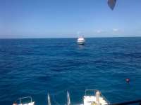 Great day of scuba diving in Key Largo with Rainbow Reef on french reef tropical voyager 2014 04 13 r246 1