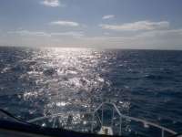 Great day of scuba diving in Key Largo with Rainbow Reef on spanish anchor tropical adventure 2014 04 02 r230 1