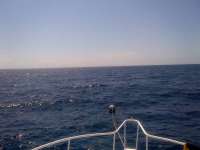 Great day of scuba diving in Key Largo with Rainbow Reef on spiegel grove tropical adventure 2014 04 29 r271 1