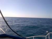 Great day of scuba diving in Key Largo with Rainbow Reef on winch hole tropical adventure 2014 04 05 r234 1