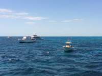 Great day of scuba diving in Key Largo with Rainbow Reef on winch hole tropical odyssey 2014 04 02 r229 1