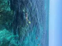Great day of scuba diving in Key Largo with Rainbow Reef on banana patch tropical voyager 2014 08 11 r640 4