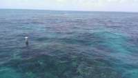 Great day of scuba diving in Key Largo with Rainbow Reef on christ statue tropical adventure 2014 08 18 r674 1