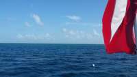 Great day of scuba diving in Key Largo with Rainbow Reef on christmastree cave tropical adventure 2014 08 10 r633 1