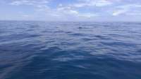 Great day of scuba diving in Key Largo with Rainbow Reef on drift french tropical explorer 2014 08 02 r583 1