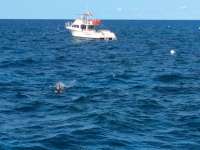 Great day of scuba diving in Key Largo with Rainbow Reef on eagle ray alley tropical adventure 2014 08 09 r625 2