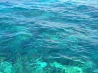 Great day of scuba diving in Key Largo with Rainbow Reef on eagle ray alley tropical adventure 2014 08 21 r681 3
