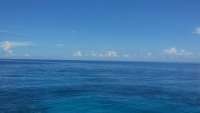Great day of scuba diving in Key Largo with Rainbow Reef on eagle ray alley tropical odyssey 2014 08 06 r608 1