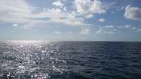 Great day of scuba diving in Key Largo with Rainbow Reef on eagle ray alley tropical voyager 2014 08 13 r650 1