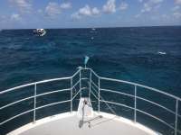 Great day of scuba diving in Key Largo with Rainbow Reef on fire coral cave tropical odyssey 2014 08 31 r726 3
