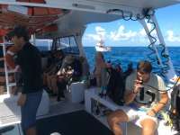 Great day of scuba diving in Key Largo with Rainbow Reef on french reef tropical adventure 2014 08 12 r645 2