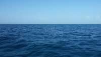 Great day of scuba diving in Key Largo with Rainbow Reef on french reef tropical adventure 2014 08 22 r688 1