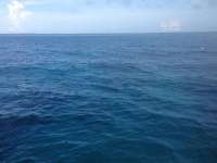 Great day of scuba diving in Key Largo with Rainbow Reef on french reef tropical odyssey 2014 08 19 r676 2