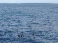 Great day of scuba diving in Key Largo with Rainbow Reef on hole in the wall tropical odyssey 2014 08 04 r592 1
