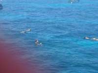 Great day of scuba diving in Key Largo with Rainbow Reef on hole in the wall tropical odyssey 2014 08 07 r614 1