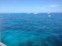 Great day of scuba diving in Key Largo with Rainbow Reef on hole in the wall tropical odyssey 2014 08 07 r614 3