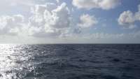 Great day of scuba diving in Key Largo with Rainbow Reef on molasses deep tropical adventure 2014 08 31 r725 1