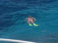 Great day of scuba diving in Key Largo with Rainbow Reef on molasses reef tropical odyssey 2014 08 09 r628 1