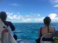 Great day of scuba diving in Key Largo with Rainbow Reef on north star tropical odyssey 2014 08 05 r601 1