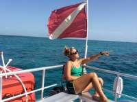 Great day of scuba diving in Key Largo with Rainbow Reef on pillar coral tropical odyssey 2014 08 22 r686 1
