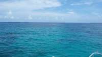 Great day of scuba diving in Key Largo with Rainbow Reef on sand island tropical explorer 2014 08 20 r680 1