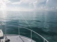 Great day of scuba diving in Key Largo with Rainbow Reef on spiegel grove tropical adventure 2014 08 20 r679 1