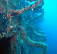 Great day of scuba diving in Key Largo with Rainbow Reef on spiegel grove tropical odyssey 2014 08 28 r709 3