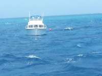 Great day of scuba diving in Key Largo with Rainbow Reef on spiegel grove tropical voyager 2014 08 30 r719 1