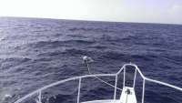 Great day of scuba diving in Key Largo with Rainbow Reef on uscgc duane tropical adventure 2014 08 22 r684 1