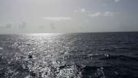 Great day of scuba diving in Key Largo with Rainbow Reef on uscgc duane tropical voyager 2014 08 18 r673 1