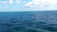 Great day of scuba diving in Key Largo with Rainbow Reef on winch hole tropical odyssey 2014 08 27 r705 1