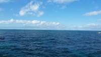 Great day of scuba diving in Key Largo with Rainbow Reef on benwood wreck tropical adventure 2014 12 28 r1090 1