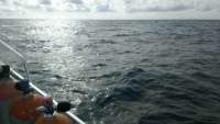 Great day of scuba diving in Key Largo with Rainbow Reef on benwood wreck tropical explorer 2014 12 27 r1087 1