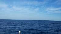 Great day of scuba diving in Key Largo with Rainbow Reef on christmastree cave tropical adventure 2014 12 12 r1026 1