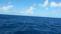 Great day of scuba diving in Key Largo with Rainbow Reef on eagle ray alley tropical adventure 2014 12 13 r1027 1