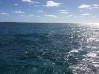 Great day of scuba diving in Key Largo with Rainbow Reef on fire coral cave tropical odyssey 2014 12 08 r1015 2