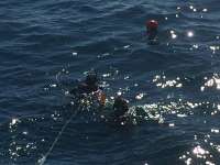 Great day of scuba diving in Key Largo with Rainbow Reef on fire coral cave tropical odyssey 2014 12 08 r1015 3