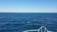 Great day of scuba diving in Key Largo with Rainbow Reef on molasses reef tropical adventure 2014 12 11 r1021 1