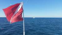 Great day of scuba diving in Key Largo with Rainbow Reef on molasses reef tropical adventure 2014 12 11 r1022 1