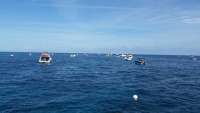 Great day of scuba diving in Key Largo with Rainbow Reef on molasses reef tropical voyager 2014 12 30 r1098 1