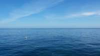Great day of scuba diving in Key Largo with Rainbow Reef on permit ledges tropical odyssey 2014 12 11 r1023 1