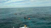 Great day of scuba diving in Key Largo with Rainbow Reef on sand island tropical voyager 2014 12 29 r1096 1