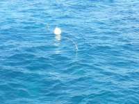 Great day of scuba diving in Key Largo with Rainbow Reef on snapper ledge tropical voyager 2014 12 26 r1086 1