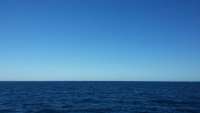 Great day of scuba diving in Key Largo with Rainbow Reef on spiegel grove tropical adventure 2014 12 07 r1013 1