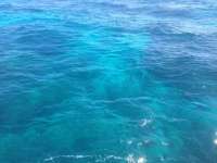 Great day of scuba diving in Key Largo with Rainbow Reef on fire coral cave tropical adventure 2014 02 01 r132 2