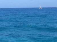 Great day of scuba diving in Key Largo with Rainbow Reef on pts ledge tropical adventure 2014 02 22 r160 1