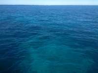 Great day of scuba diving in Key Largo with Rainbow Reef on snapper ledge tropical adventure 2014 02 14 r147 2