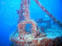 Great day of scuba diving in Key Largo with Rainbow Reef on spiegel grove tropical adventure 2014 02 27 r171 1